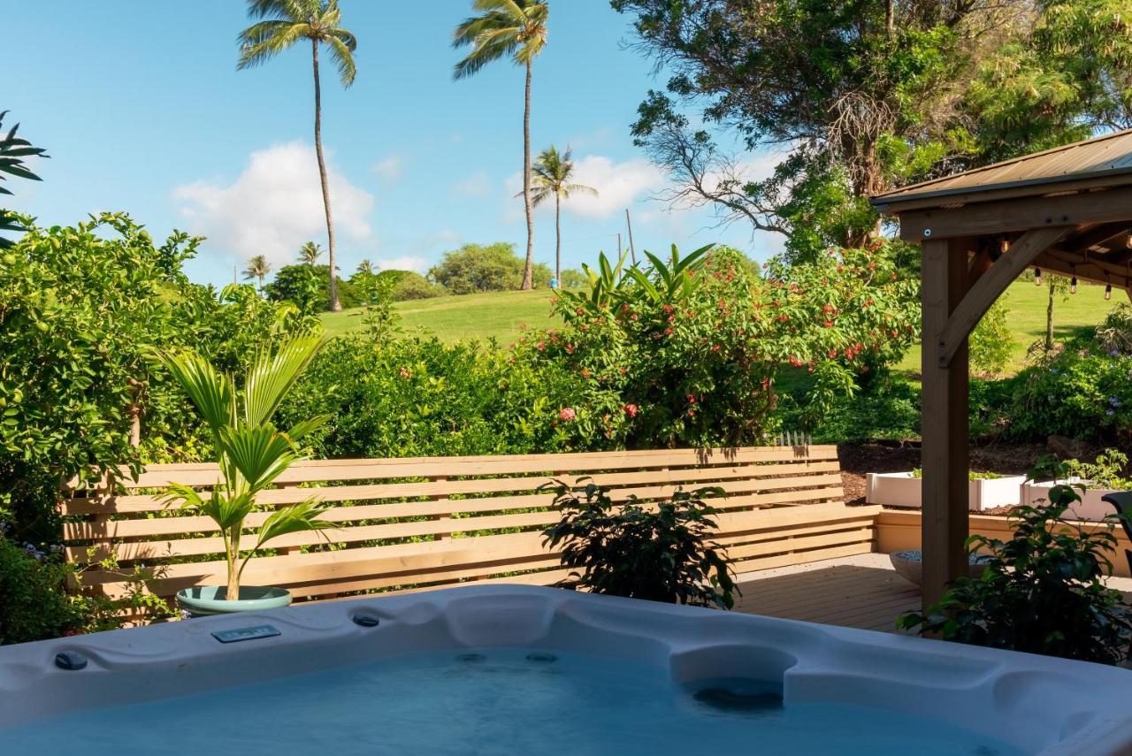 لاهينا Noahs Hideaway Luxury B&B المظهر الخارجي الصورة